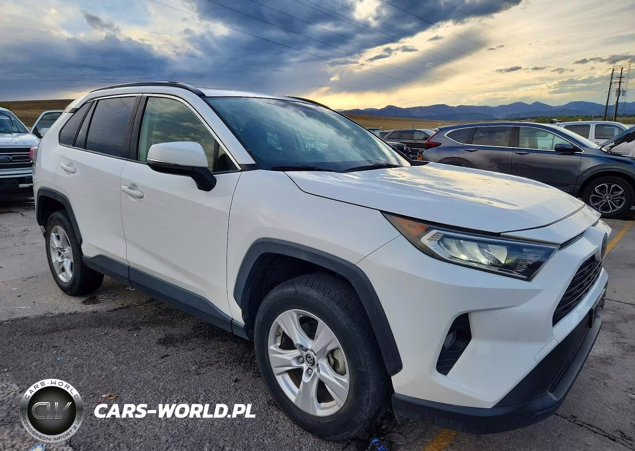 2019 Toyota Rav4 Xle VIN:JTMP1RFV7KJ002084 - 4