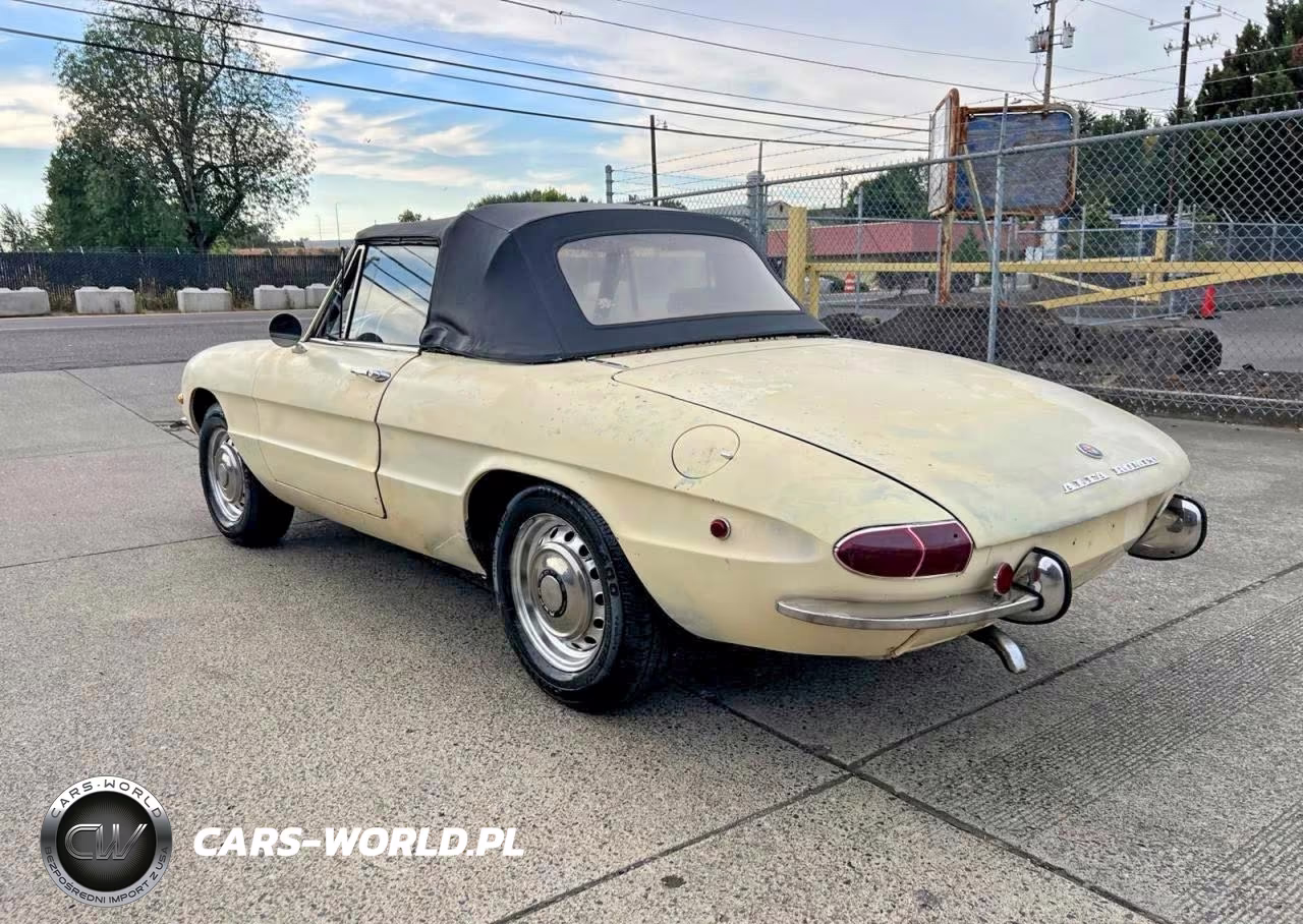 1969 Alfa Duetto Con VIN:AR1480400 - 12