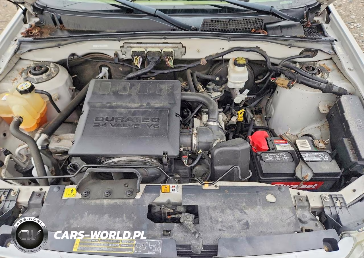 2009 Ford Escape Xlt VIN:1FMCU03G99KB53869 - 11