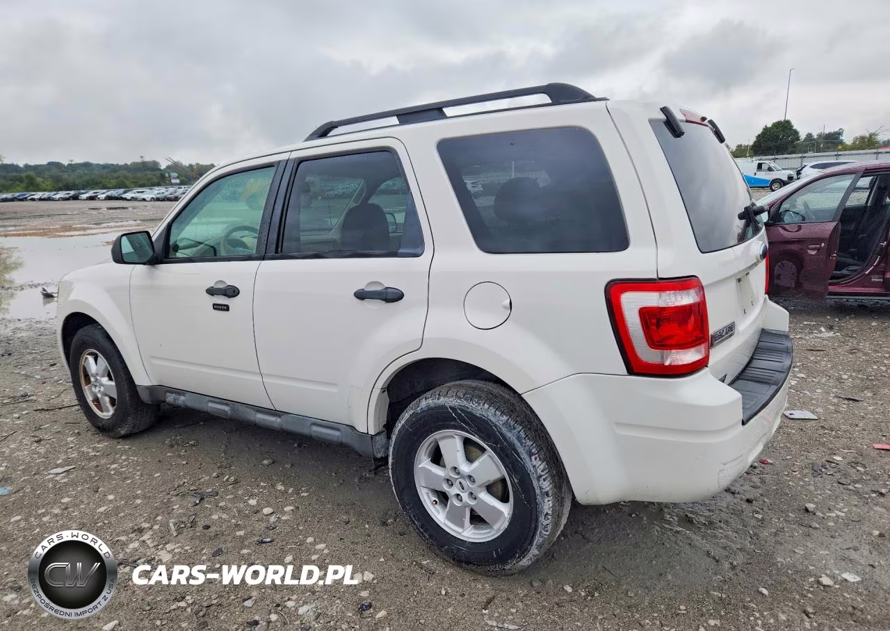 2009 Ford Escape Xlt VIN:1FMCU03G99KB53869 - 2