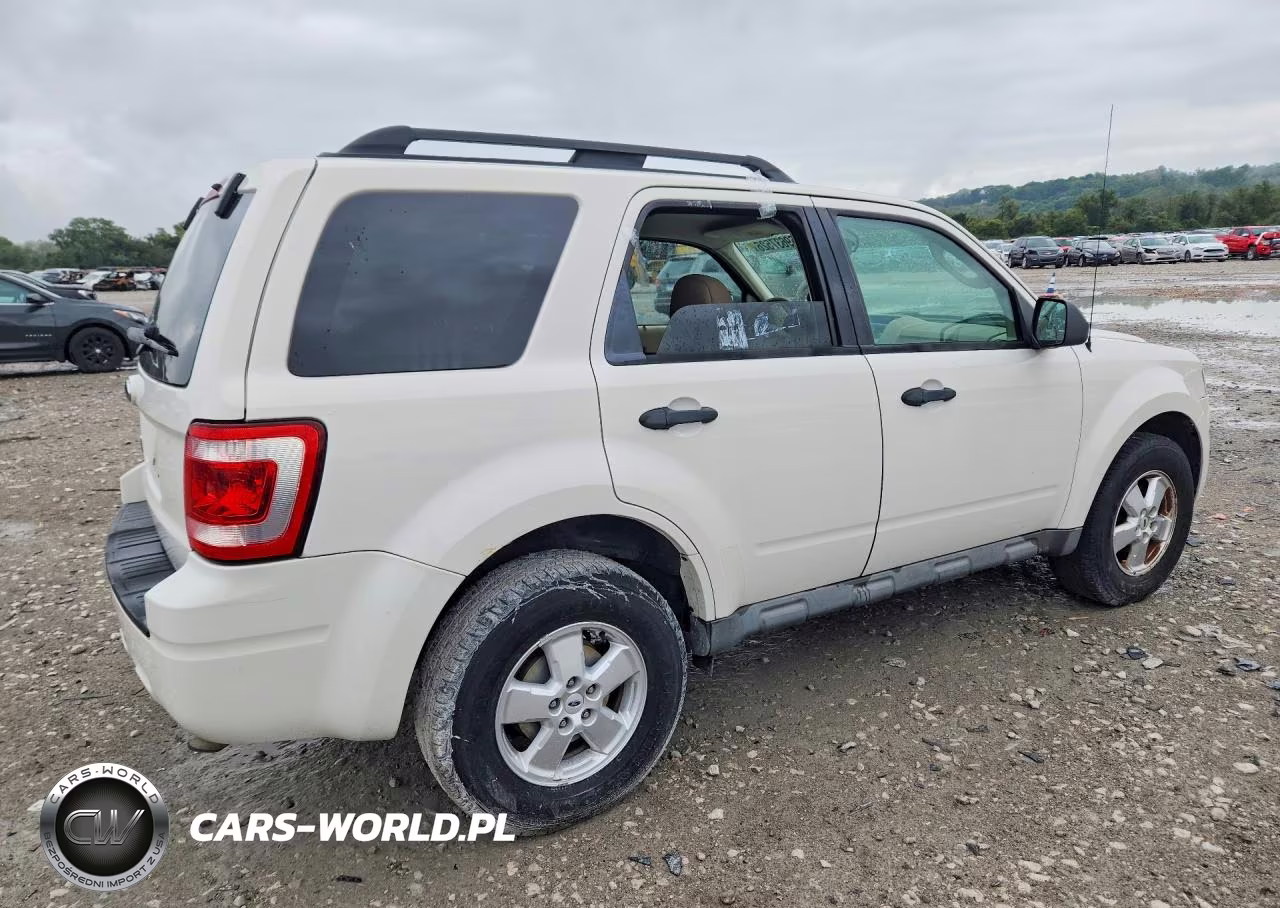 2009 Ford Escape Xlt VIN:1FMCU03G99KB53869 - 3
