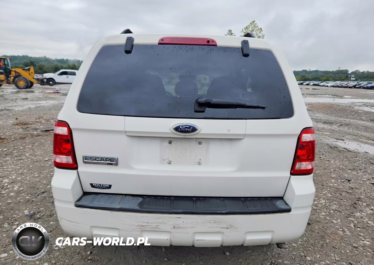 2009 Ford Escape Xlt VIN:1FMCU03G99KB53869 - 6