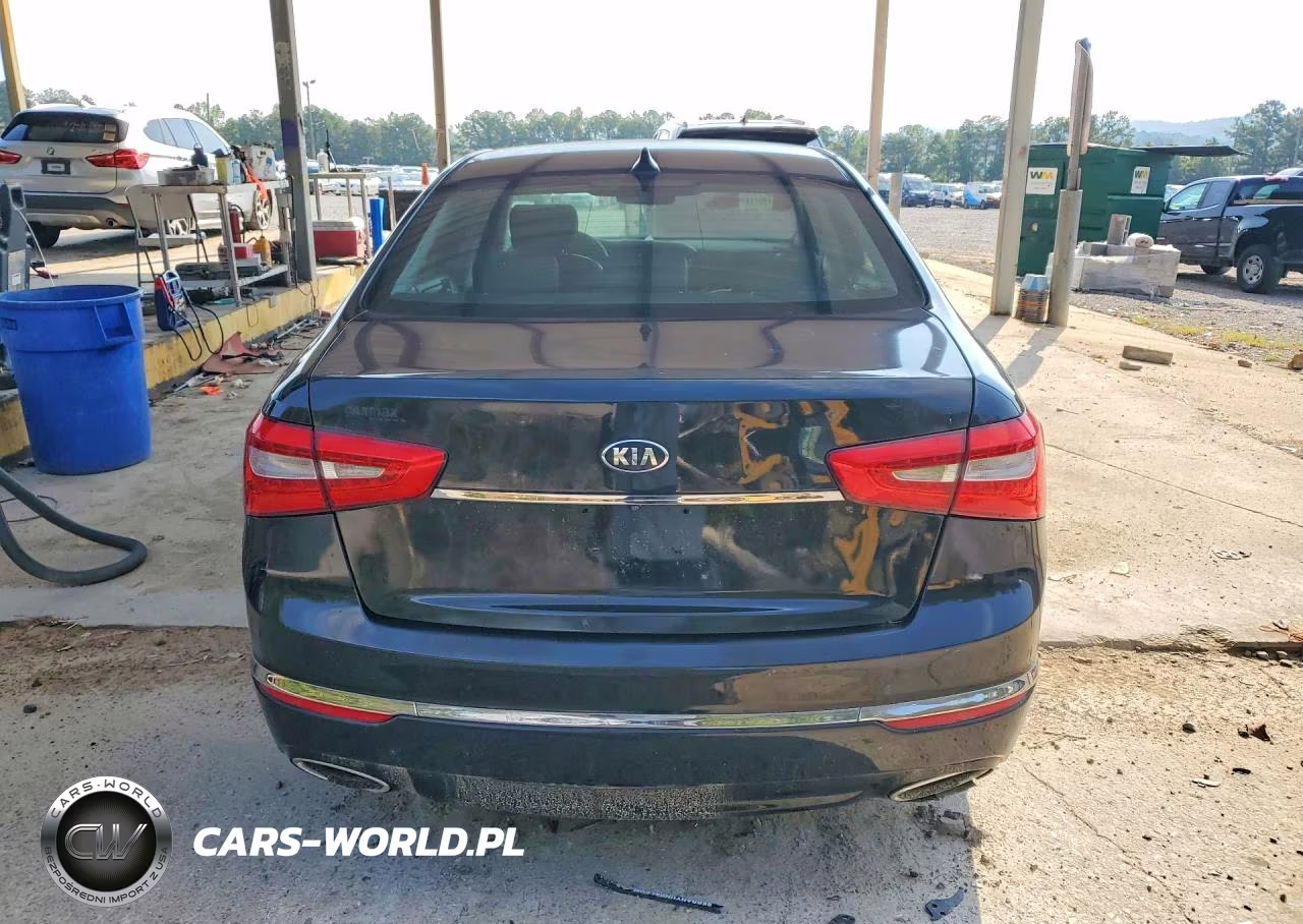 2016 Kia Cadenza Luxury VIN:KNALN4D76G5216474 - 6
