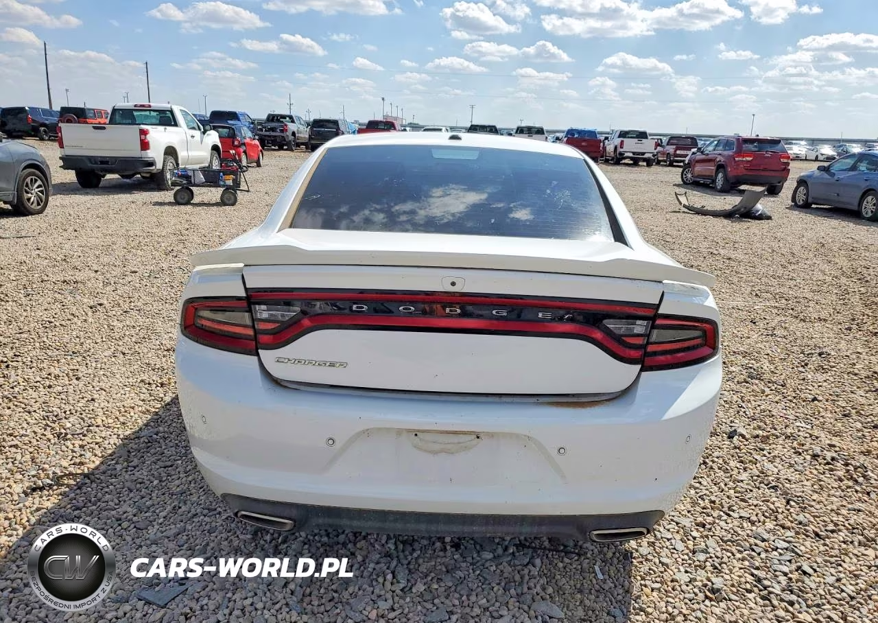 2020 Dodge Charger Sxt VIN:2C3CDXBG7LH119754 - 6