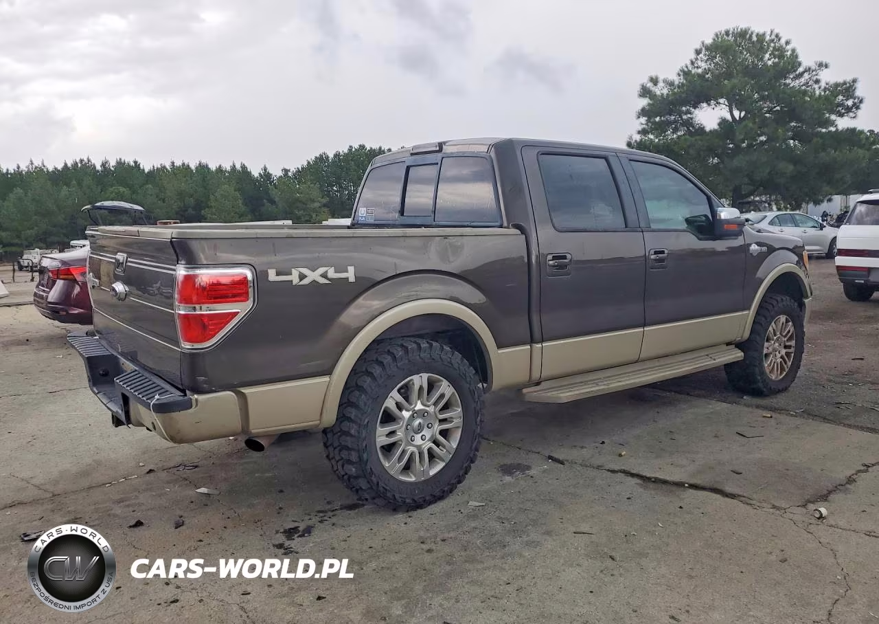 2009 Ford F150 Supercrew VIN:1FTPW14V59KB38045 - 3