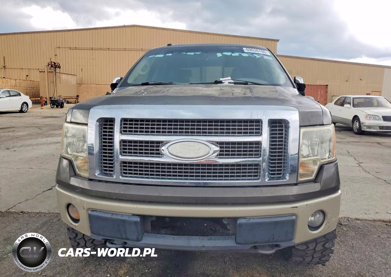 2009 Ford F150 Supercrew VIN:1FTPW14V59KB38045 - 5