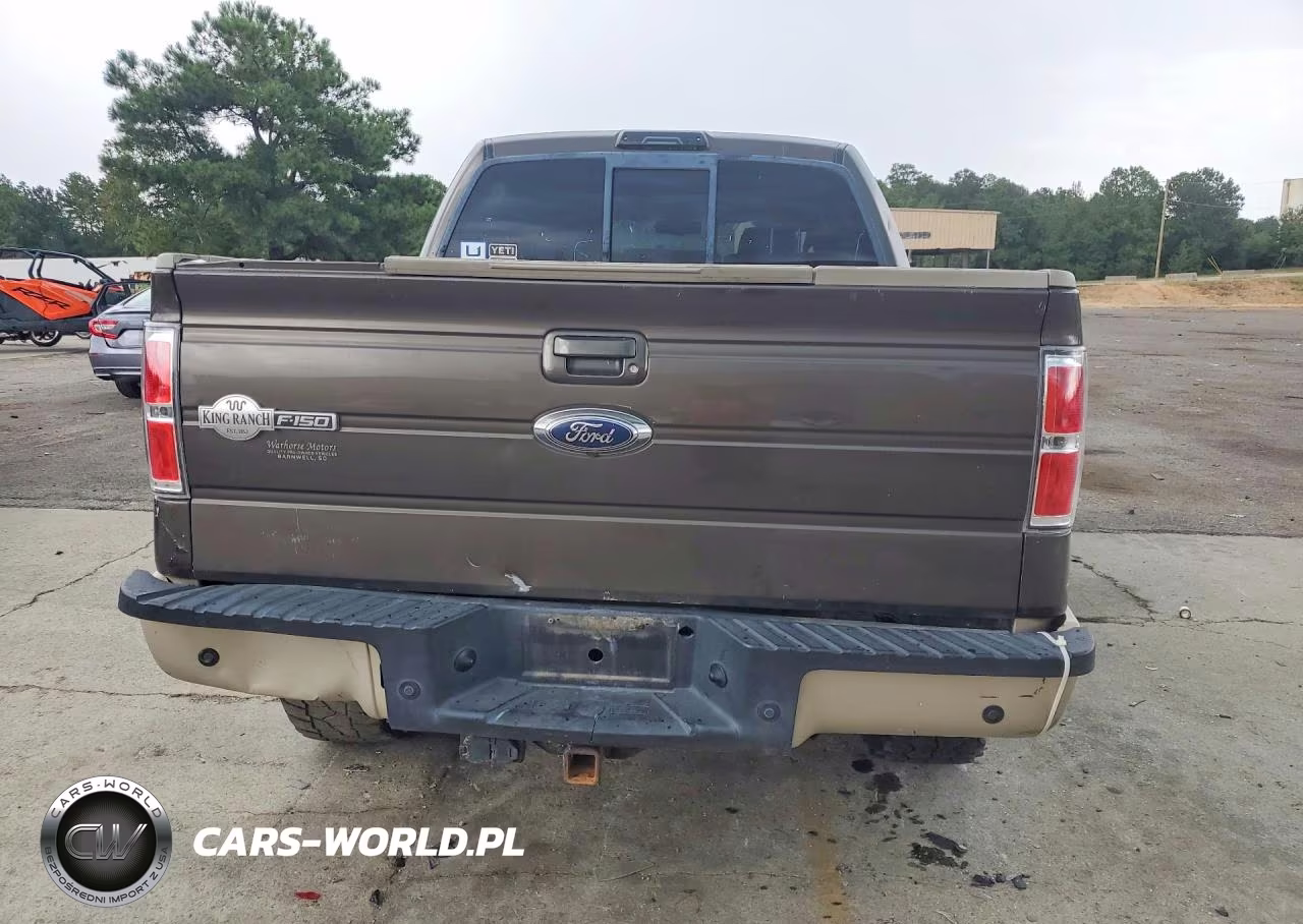 2009 Ford F150 Supercrew VIN:1FTPW14V59KB38045 - 6