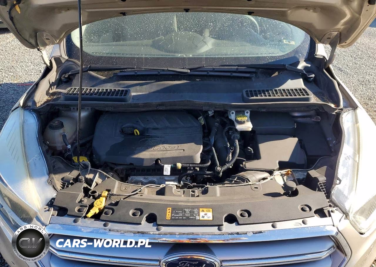 2017 Ford Escape Se VIN:1FMCU9GD2HUF05469 - 12
