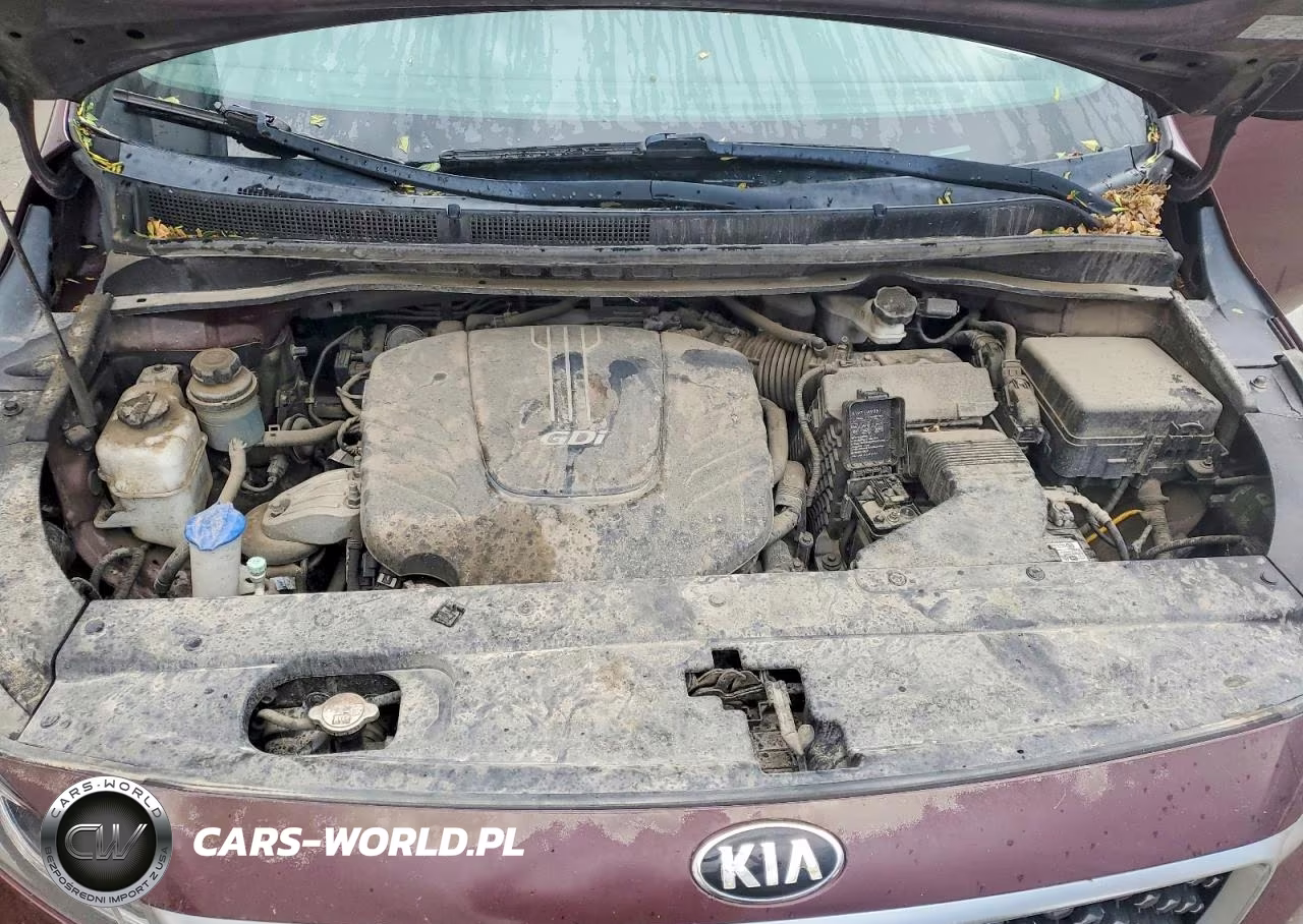 2017 Kia Sedona Lx VIN:KNDMB5C11H6244777 - 12