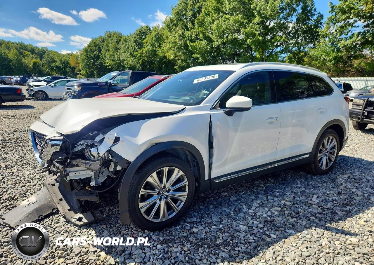 2021 Mazda Cx-9 Signature VIN:JM3TCBEY5M0529276 - 1