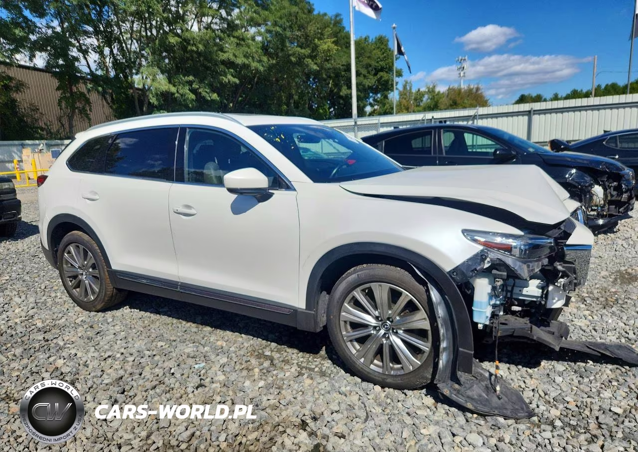 2021 Mazda Cx-9 Signature VIN:JM3TCBEY5M0529276 - 4