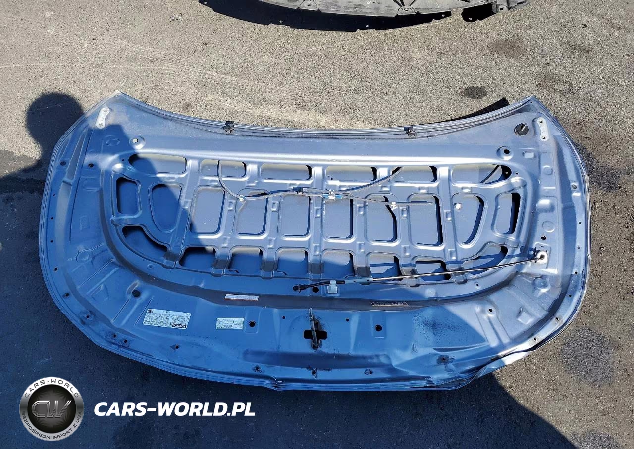 2021 Toyota Corolla Le VIN:JTDEAMDE7MJ011139 - 12