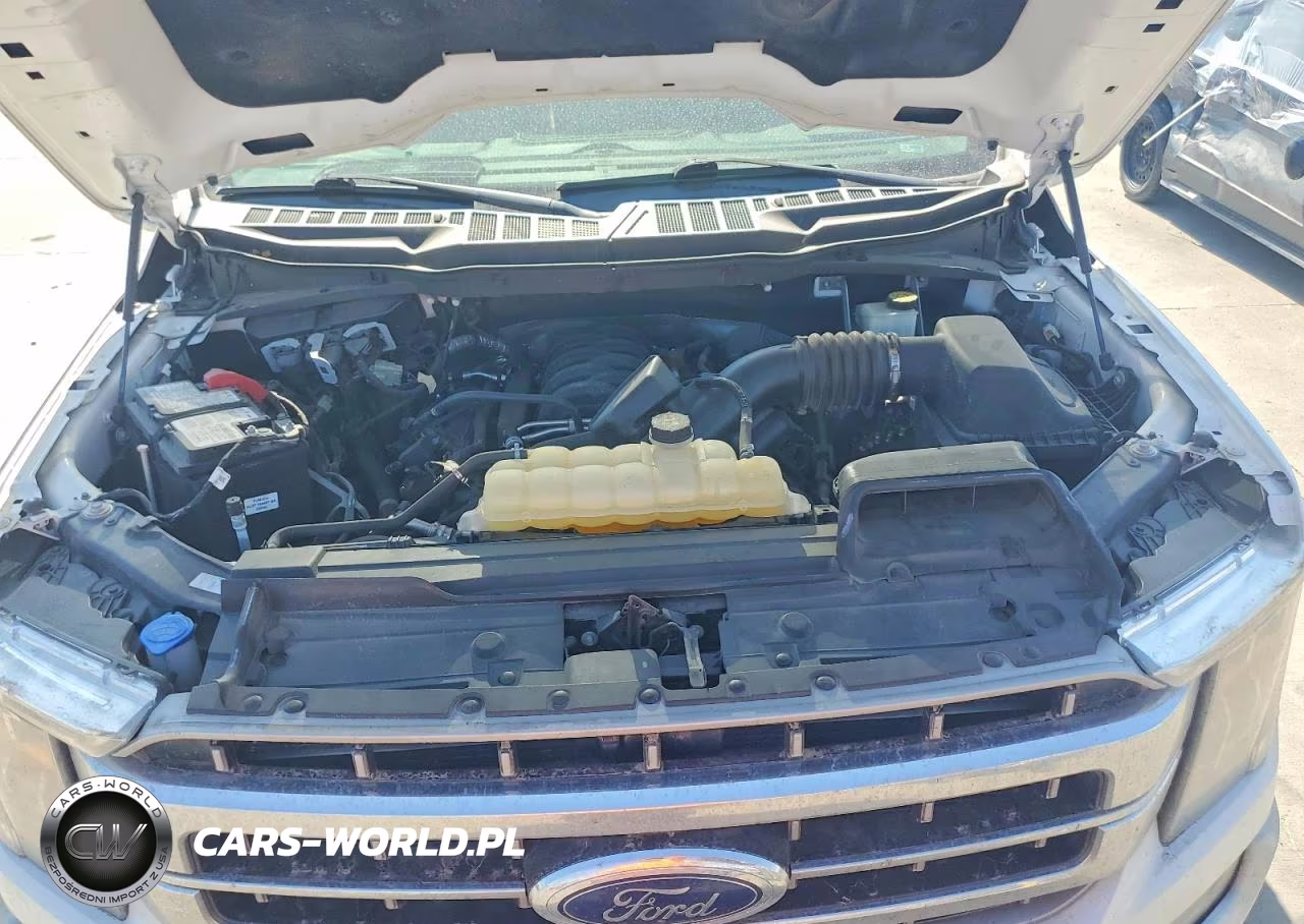 2023 Ford F150 Supercrew VIN:1FTEW1C5XPKF38124 - 11