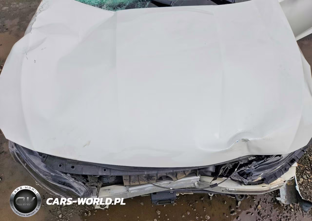2019 Honda Accord Sport VIN:1HGCV1F3XKA009227 - 11