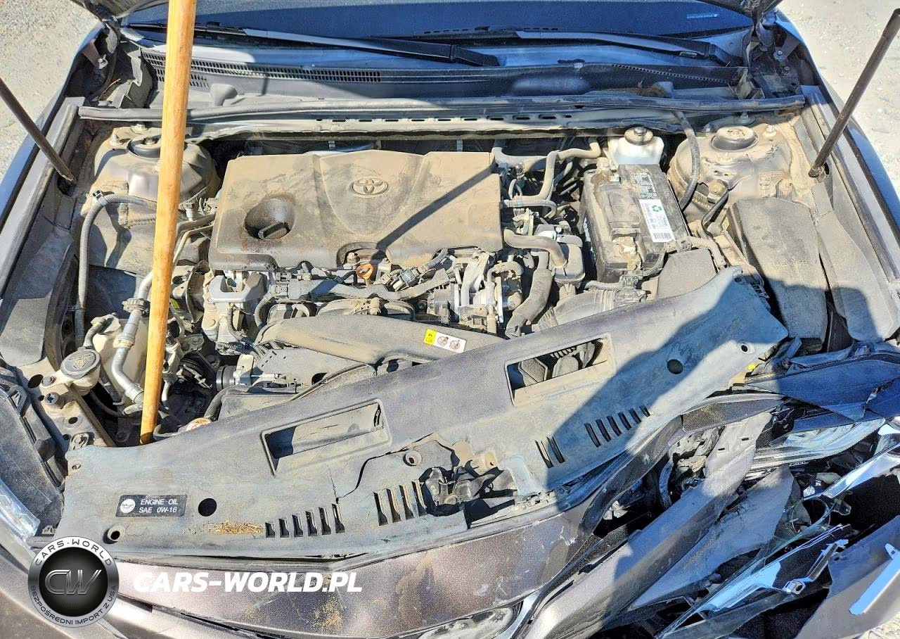 2019 Toyota Camry Xle VIN:4T1B11HK0KU257006 - 11