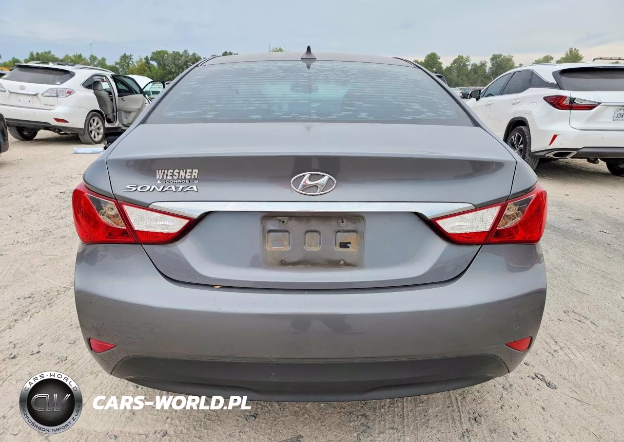 2014 Hyundai Sonata Gls VIN:5NPEB4AC9EH893974 - 6