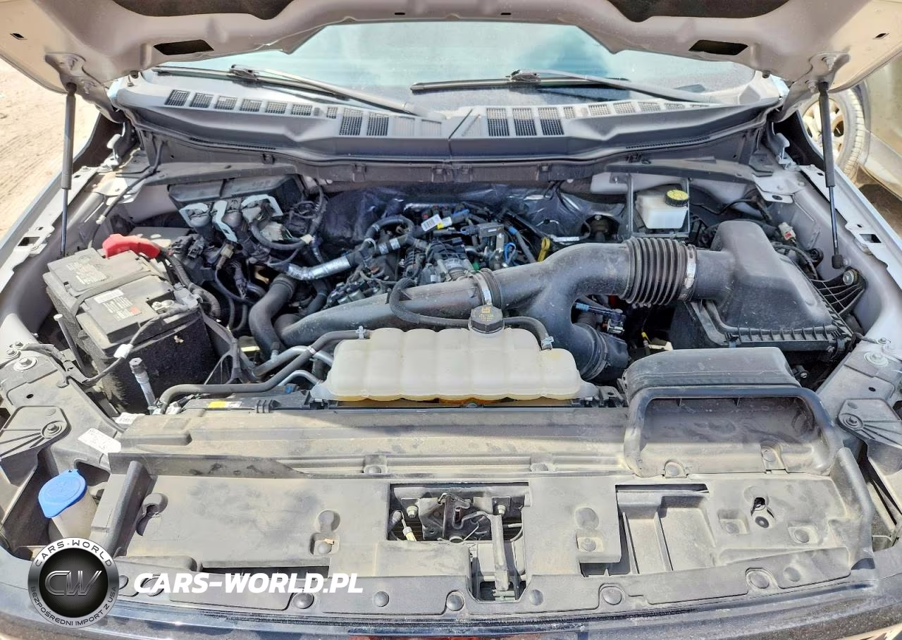 2024 Ford F-150 Xlt VIN:1FTEW3KP8RKF58129 - 11