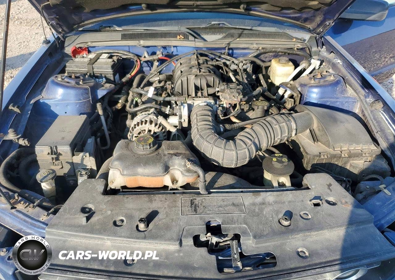 2006 Ford Mustang VIN:1ZVFT80NX65254416 - 11