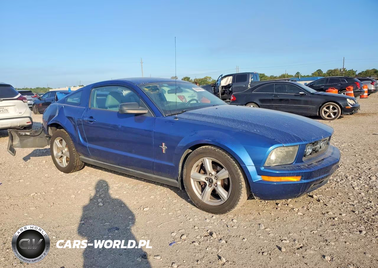 2006 Ford Mustang VIN:1ZVFT80NX65254416 - 4