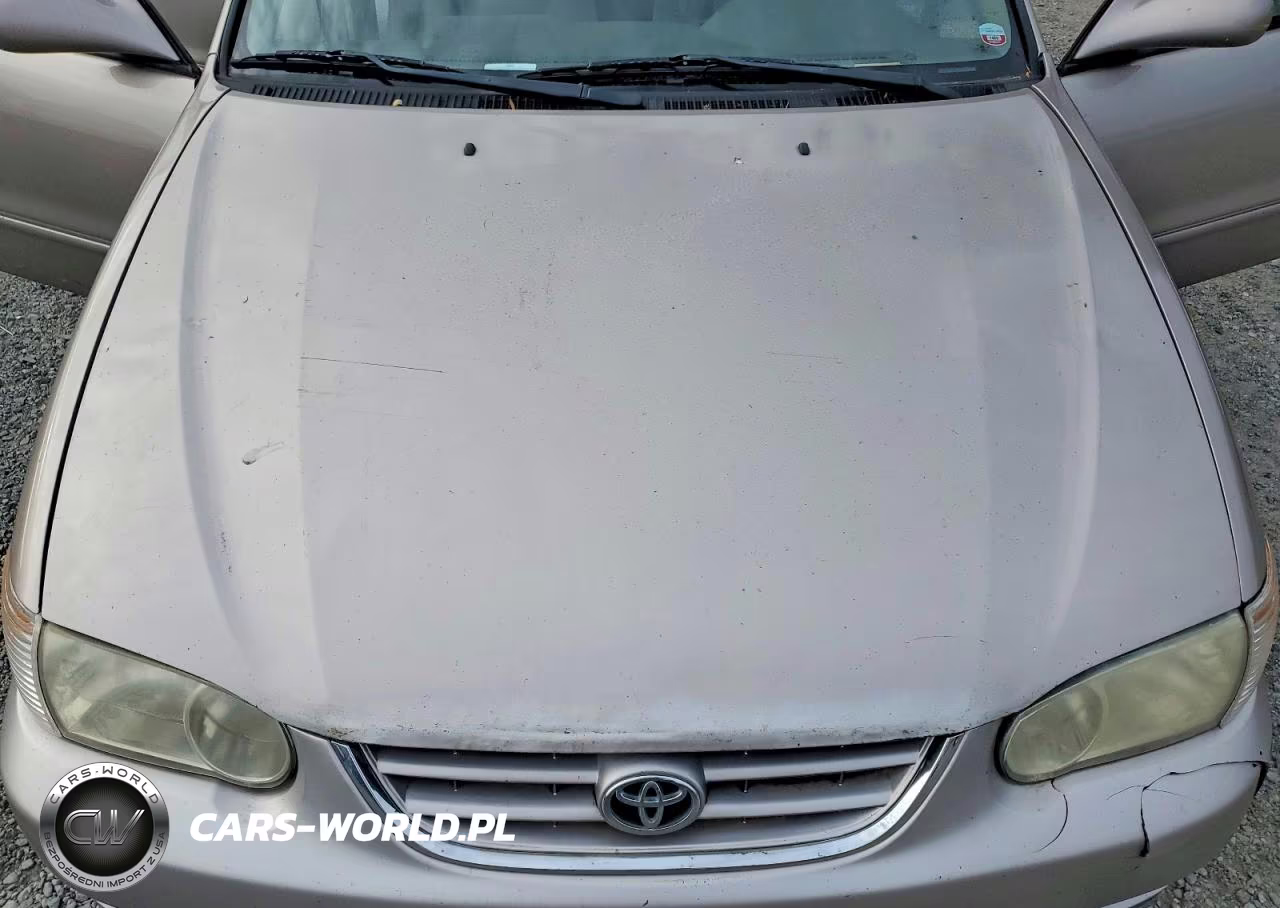 2002 Toyota Corolla Le VIN:1NXBR12EX2Z567854 - 11
