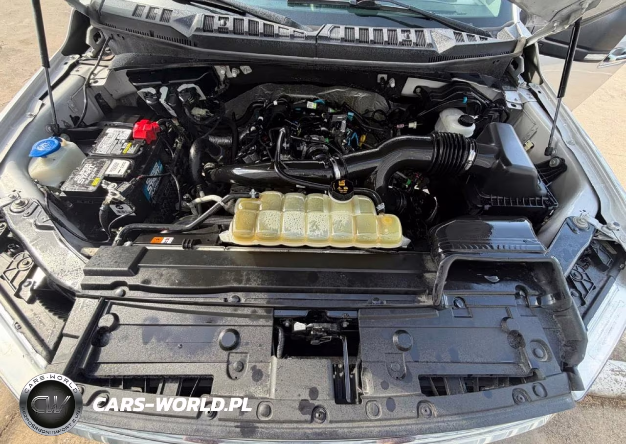 2019 Ford F150 Supercrew VIN:1FTEW1EP8KFC44740 - 7