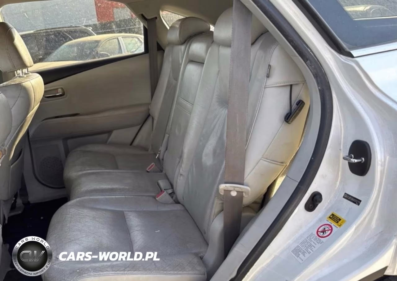 2010 Lexus Rx 350 VIN:JTJZK1BA4A2002799 - 6