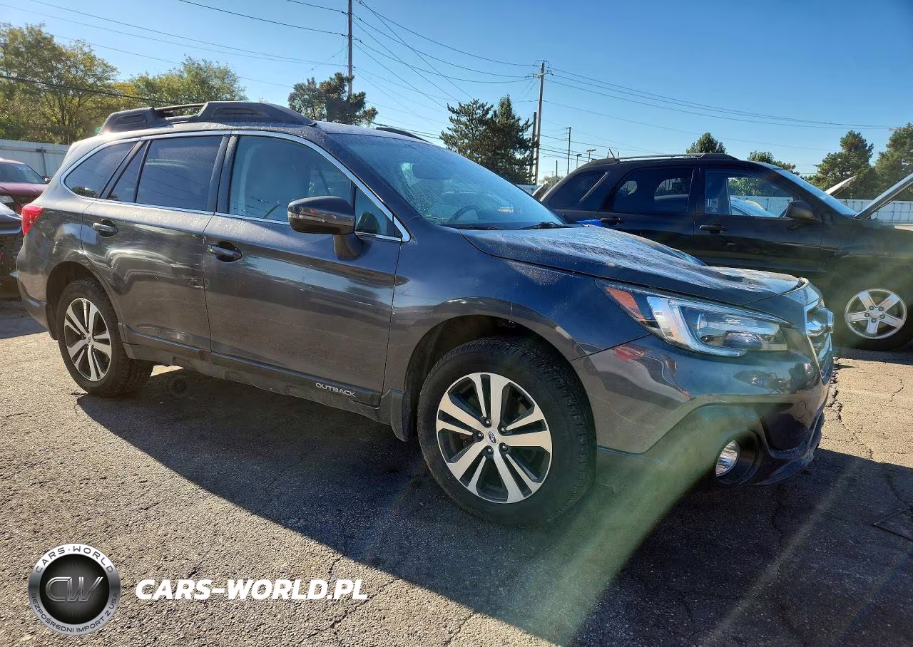 2019 Subaru Outback 2.5I Limited VIN:4S4BSANC3K3291859 - 4