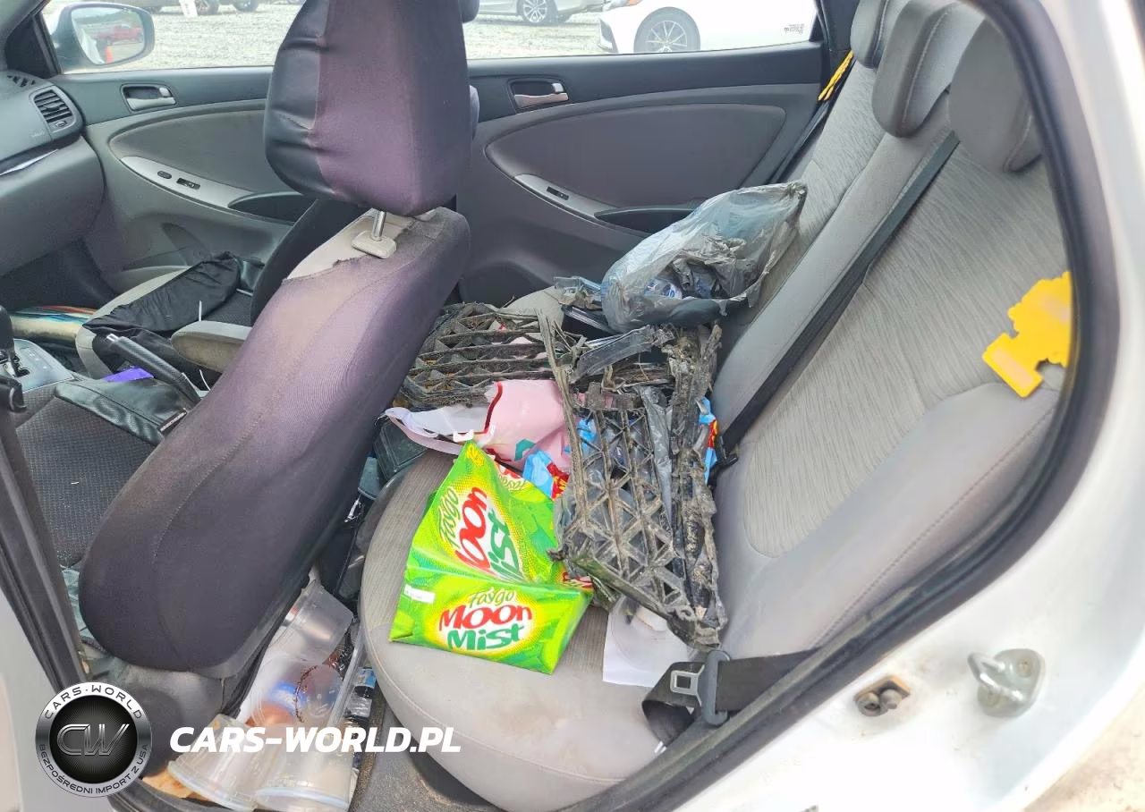 2016 Hyundai Accent Se VIN:KMHCT4AE4GU101868 - 10