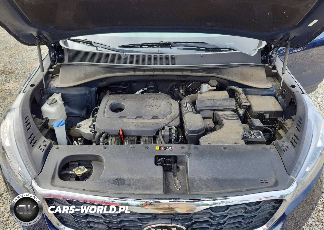 2019 Kia Sorento Lx VIN:5XYPG4A32KG511202 - 12