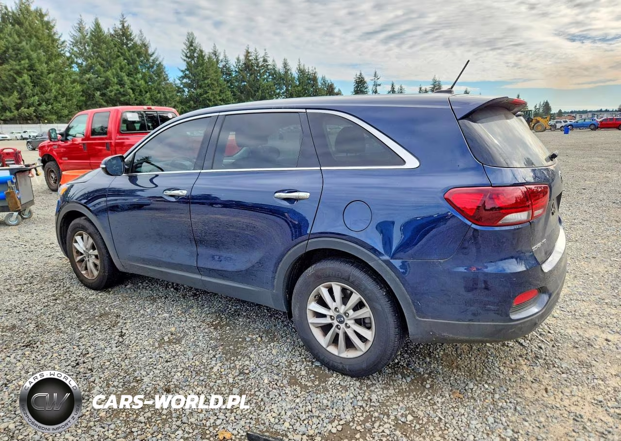 2019 Kia Sorento Lx VIN:5XYPG4A32KG511202 - 2