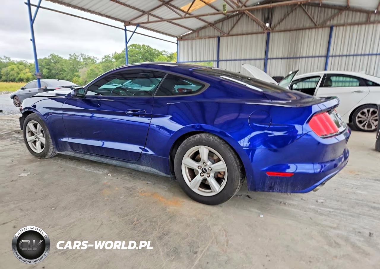 2016 Ford Mustang VIN:1FA6P8AM4G5321094 - 2