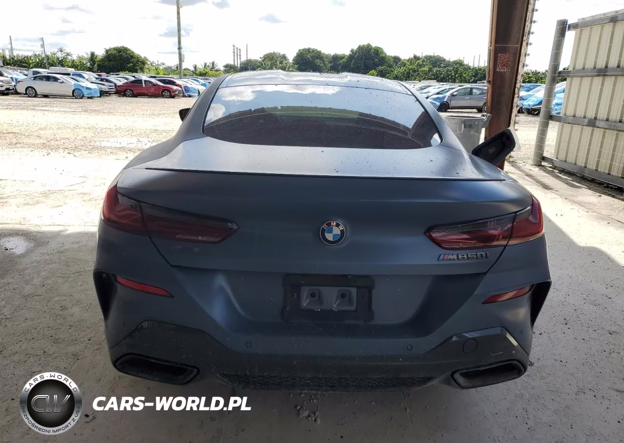 2019 BMW M850Xi VIN:WBABC4C58KBU96930 - 6