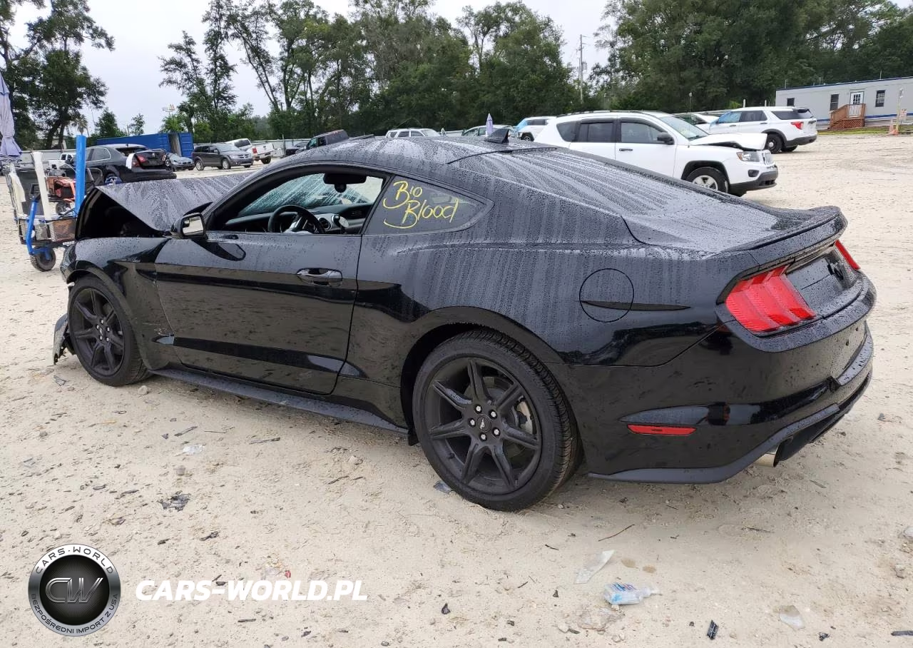 2020 Ford Mustang VIN:1FA6P8TH2L5175093 - 2