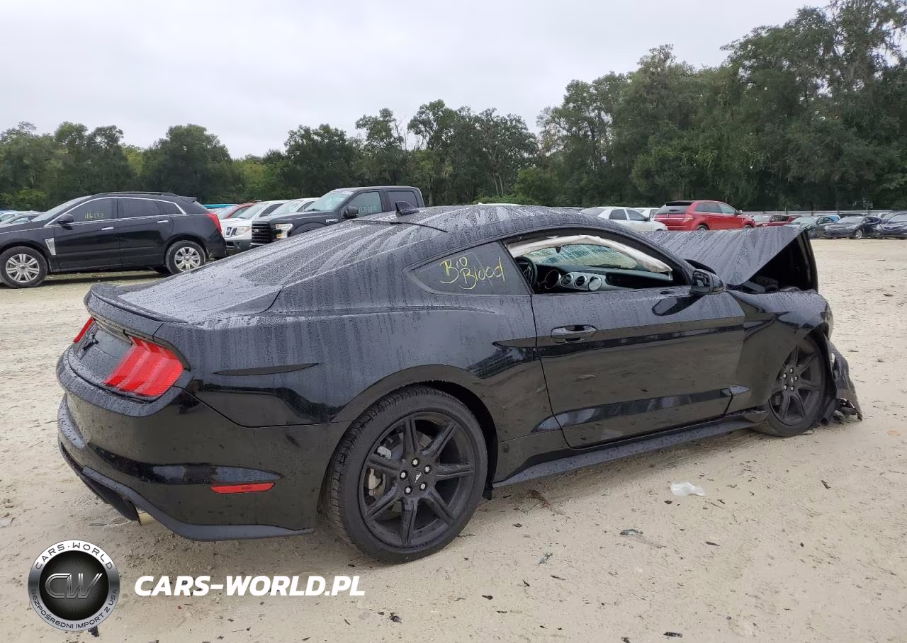 2020 Ford Mustang VIN:1FA6P8TH2L5175093 - 3