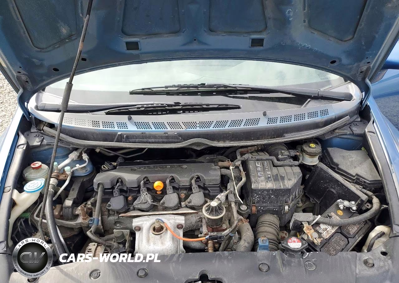 2009 Honda Civic Lx VIN:2HGFA16509H345006 - 11