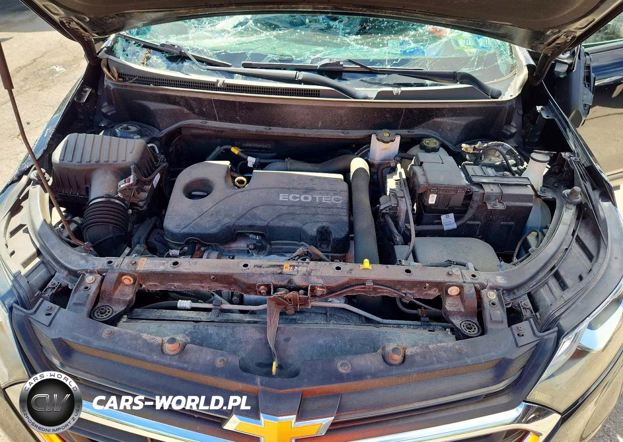 2019 Chevrolet Equinox Ls VIN:3GNAXSEV1KL389079 - 12
