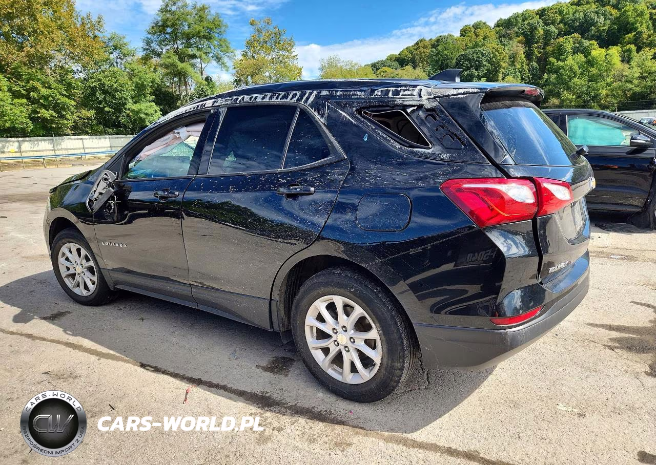 2019 Chevrolet Equinox Ls VIN:3GNAXSEV1KL389079 - 2