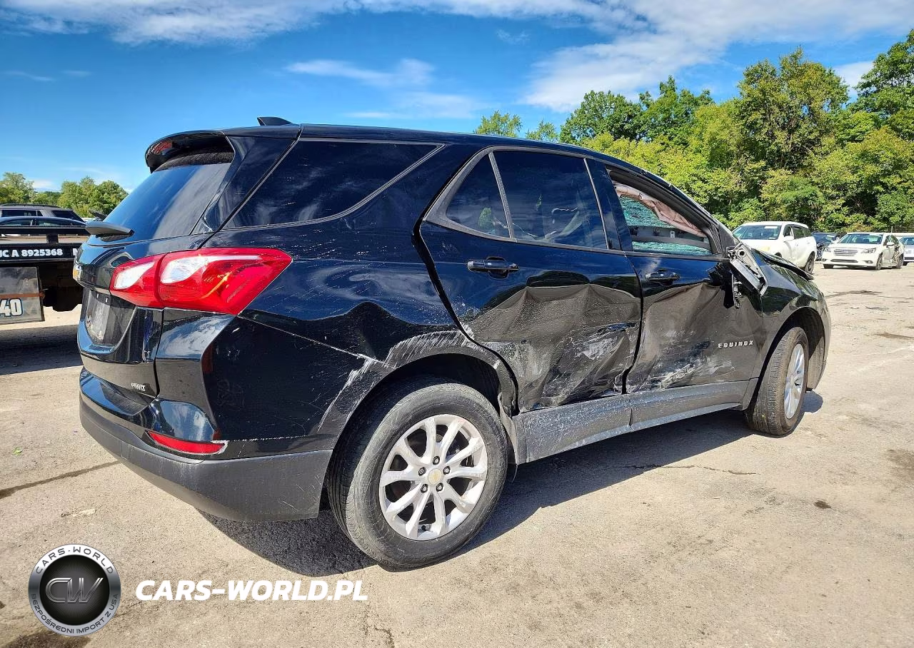 2019 Chevrolet Equinox Ls VIN:3GNAXSEV1KL389079 - 3