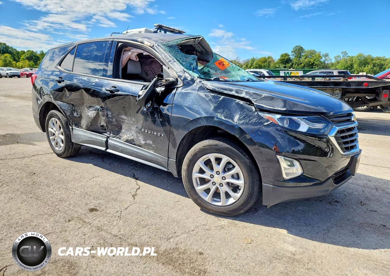 2019 Chevrolet Equinox Ls VIN:3GNAXSEV1KL389079 - 4
