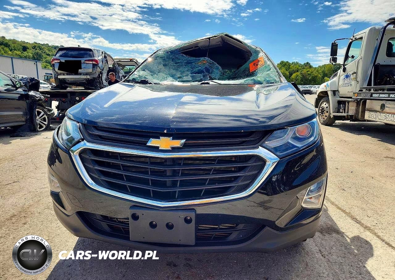 2019 Chevrolet Equinox Ls VIN:3GNAXSEV1KL389079 - 5
