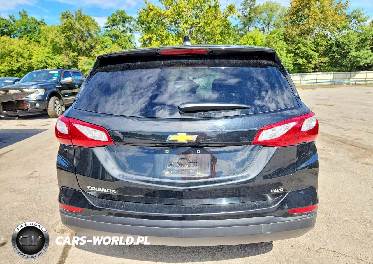 2019 Chevrolet Equinox Ls VIN:3GNAXSEV1KL389079 - 6