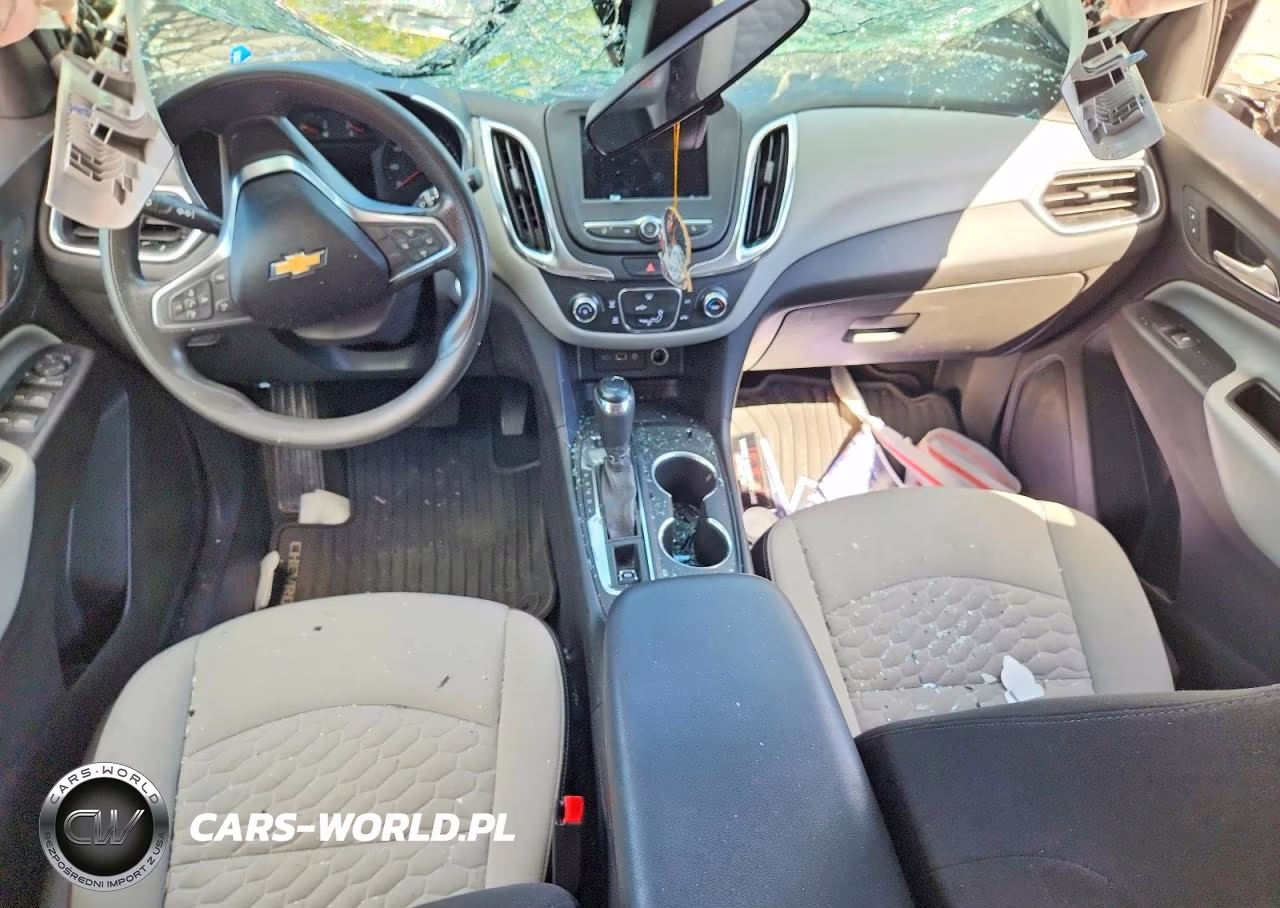 2019 Chevrolet Equinox Ls VIN:3GNAXSEV1KL389079 - 8