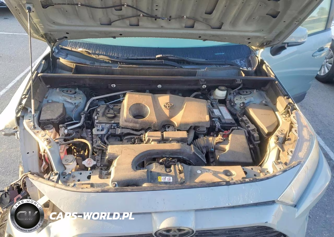 2019 Toyota Rav4 Xle VIN:JTMW1RFV4KD511396 - 12
