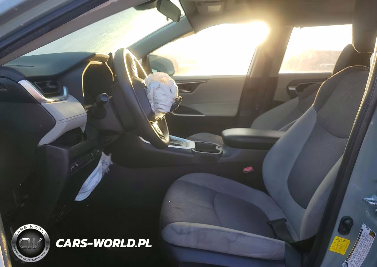 2019 Toyota Rav4 Xle VIN:JTMW1RFV4KD511396 - 7