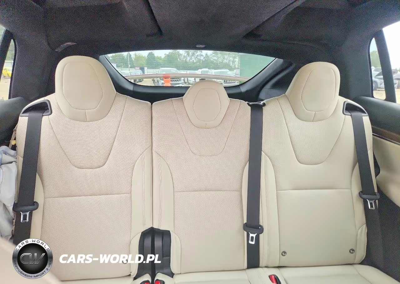 2024 Tesla Model X VIN:7SAXCAE56RF443223 - 10