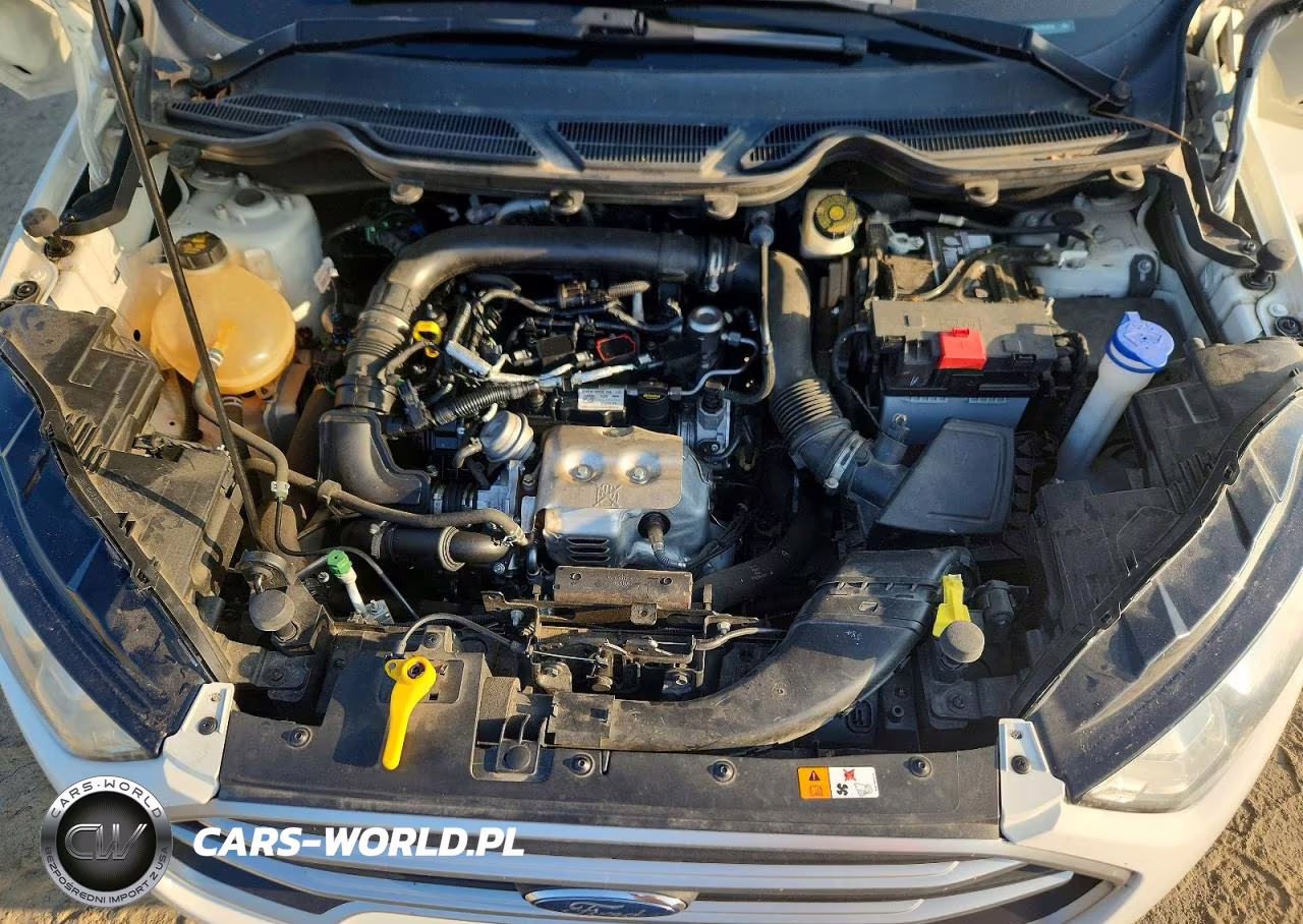2018 Ford Ecosport Se VIN:MAJ3P1TE5JC234016 - 11