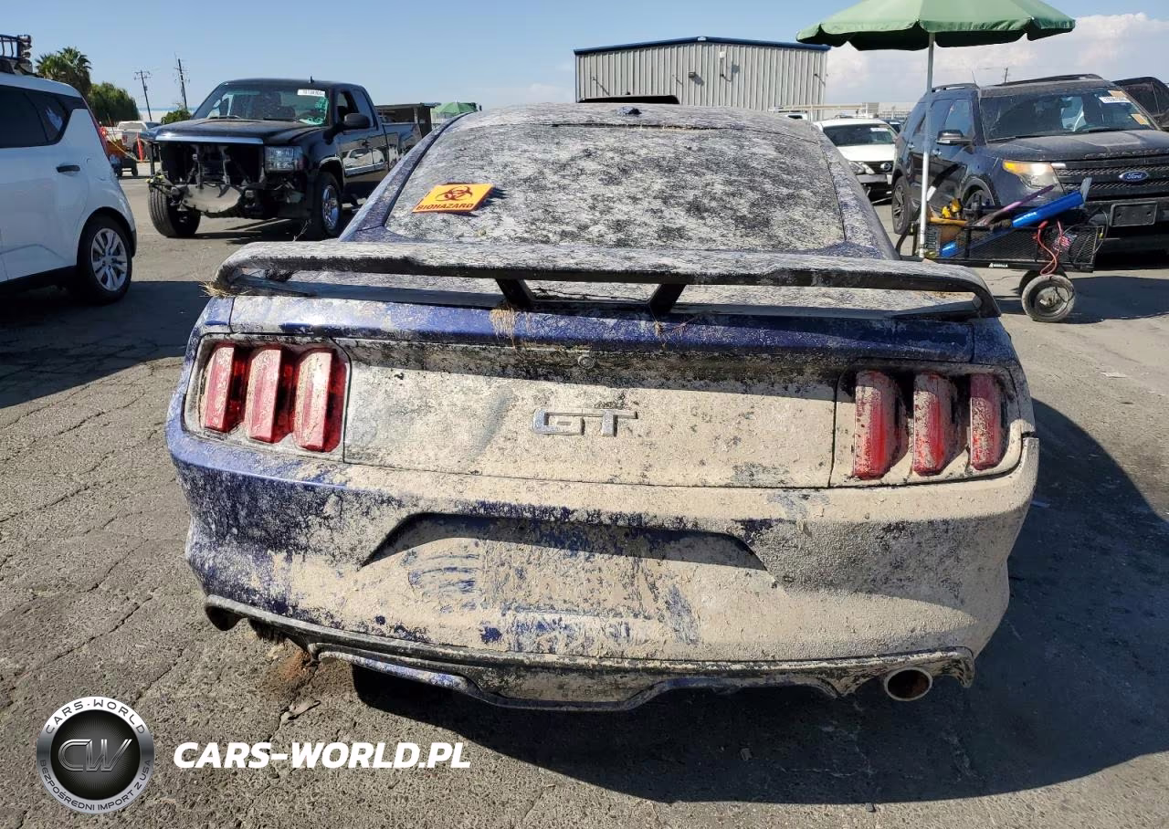 2016 Ford Mustang Gt VIN:1FA6P8CF0G5269185 - 6