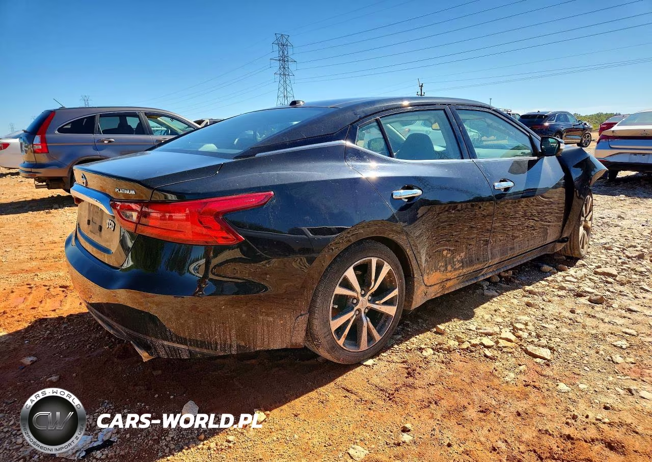 2016 Nissan Maxima Platinum VIN:1N4AA6AP1GC429355 - 3