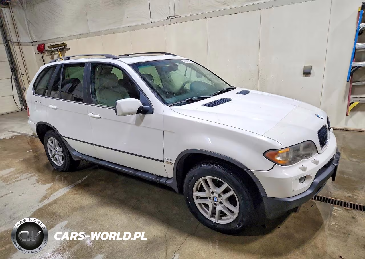 2006 BMW X5 3.0I VIN:5UXFA13526LY25449 - 4