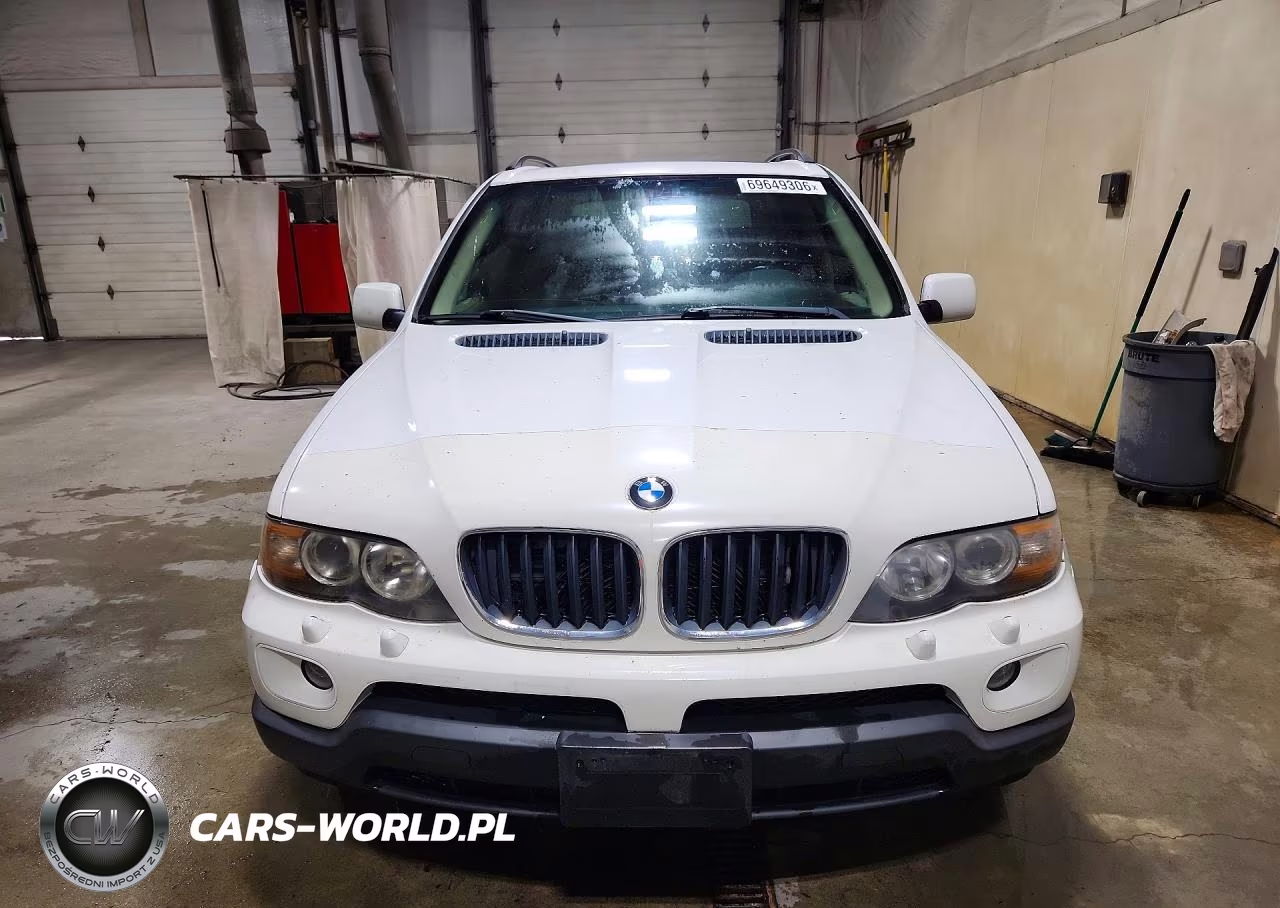 2006 BMW X5 3.0I VIN:5UXFA13526LY25449 - 5
